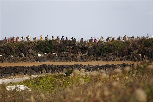 제주 올레걷기축제에 참가한 올레꾼들이 올레길을 걷고 있는 모습. 올해 11월 1일 5코스를 시작으로 이틀째 6코스, 사흘째 7코스에서 올레걷기축제가 열린다.  제주올레 제공