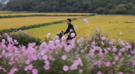 [서울포토] 평양의 가을