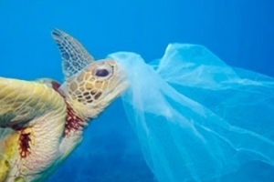 미세 플라스틱 수돗물서 검출…체내 축적 우려 높아