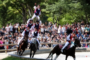 마상 무예 즐기며 다시 일상으로