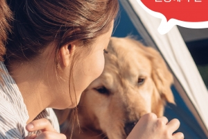 ‘반려동물 페스티벌’ 10월 3일 성남시청 광장서