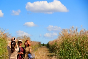 [주말날씨] 9월의 마지막, 일교차 큰 날씨 “나들이갈 때 겉옷 챙기세요”