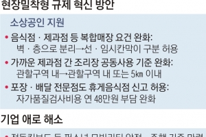 [혁신성장회의] 전동킥보드 안전·주행 기준 마련, 제각각 LED조명 인증도 일원화