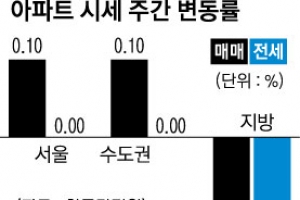 잇단 규제 약발?… 서울 아파트값 숨고르기