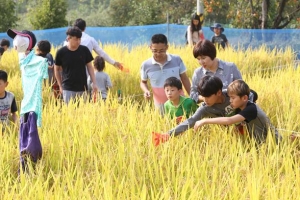 메뚜기 구울까, 꿀벌애벌레 부쳐 먹을까… 완주의 야생은 맛나다