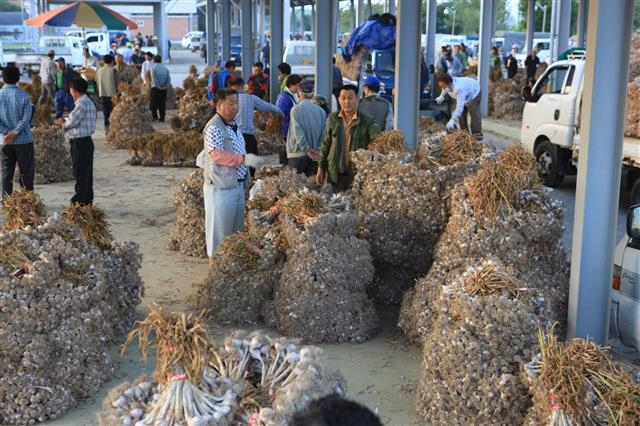*경북 의성군 의성읍 전통시장에서 의성마늘이 거래되는 모습.  의성군 제공