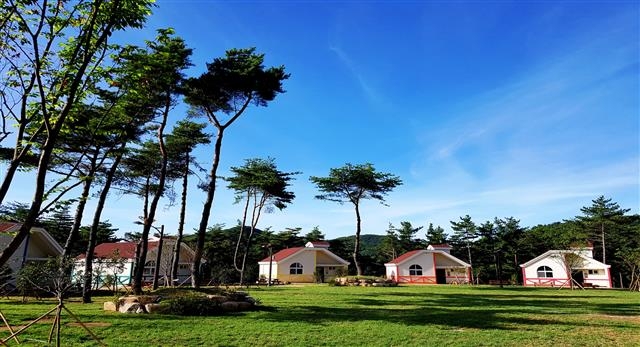 지난달 5일 43번째 국립자연휴양림인 달음산자연휴양림이 개장했다. 동북아 해양 수도이자 국내 여행 1번지인 부산에 도심 기반 산림교육을 테마로 조성됐으며 해운대에서 35분 거리로 접근성이 뛰어나다. 국립자연휴양림관리소 제공