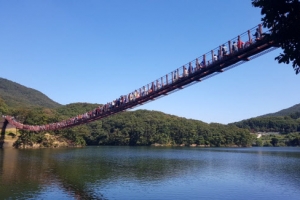 깊어 가는 가을…흔들리는 마음