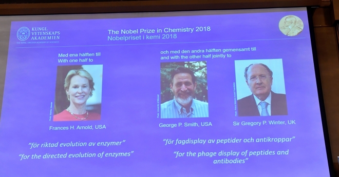 미국의 프랜시스 아널드(왼쪽부터)와 조지 스미스, 그리고 영국의 그레고리 윈터경이 올해 노벨화학상을 수상했다고 스웨덴 왕립과학원 노벨위원회가 3일(현지시간) 밝혔다. 로이터 연합뉴스