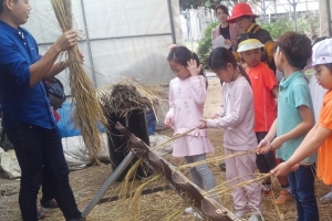 7일 경기 광주시 농촌체험 팜 페스티벌