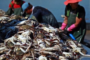 가을의 맛이 익어 간다… 10월에 가볼 만한 6곳