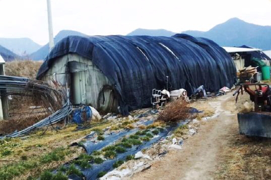 이주노동자가 거주하고 있는 것으로 알려진 비닐하우스 가건물. 국가인권위 제공