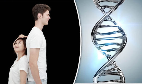 키와 DNA 상관관계 이미지