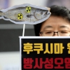 “日, 방사성 오염수 100만t 배출 계획은 한국 위협하는 범죄 행위”