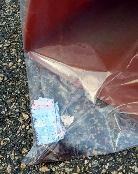 스팀청소기 업체 물류창고에서 발견된 붉은불개미