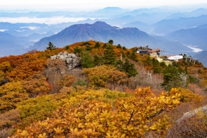 주말에 갈테니…당신, 거기 있어 줄래요