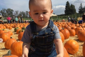 벤틀리, 핼러윈 호박 고르는 귀요미 “어떤 걸 고르지?”