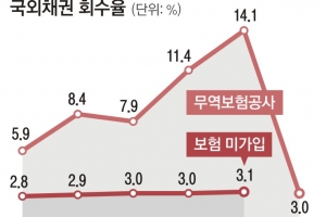 2조 해외 부실채권 회수 전담기관 추진