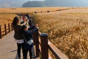 장애인도 노인도 모두 품는 순천… ‘유니버설 디자인 도시’ 실험