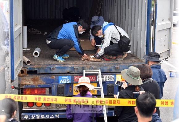 인천항 붉은불개미 방역… “여왕개미는 발견 안돼”
