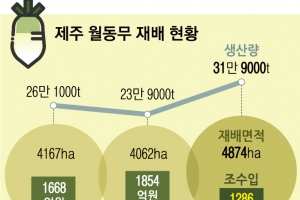 제주 월동채소 무단재배 ‘마라도의 6배’