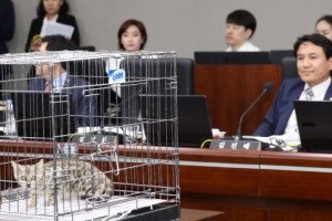 [국감현장]오들오들 뱅갈 고양이부터 ‘대통령은 여적죄’ 고함까지