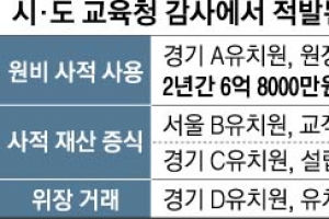 유치원 비리 왜 끝없나 했더니… ‘내 회사’로 생각하는 원장들