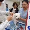 [뉴스 in] 아직 갈 길 먼 ‘동물등록제’