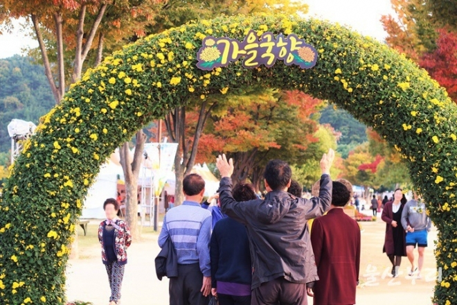 울산 태화강 지방정원에 국화단지가 조성돼 방문객들에게 가을의 추억을 선물하고 있다. 울산시 제공.