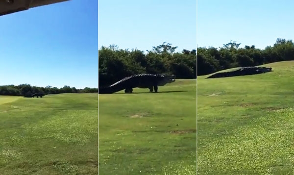 The Uncensored Report - Francesco Abbruzzino