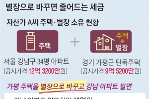 자산가들, 보유세 높은 별장 자진신고 왜