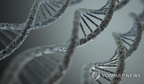 DNA 구조 [개티이미지뱅크 제공]  연합뉴스
