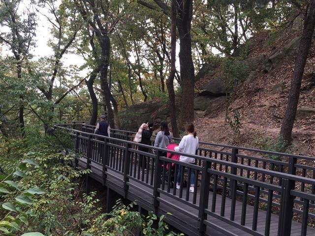 주민들이 유모차를 끌고 배봉산 둘레길을 걷고 있다.  동대문구 제공