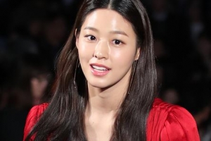 설현에게 음란영상 보낸 범인은 40대 조현정동 장애인