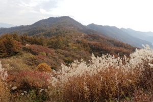 늦가을 정취 가득한 팔랑치와 만복대에 사람 없는 이유
