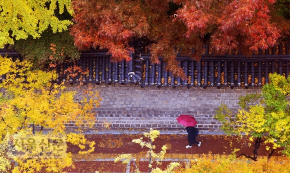 [서울포토] 우산도 가을색