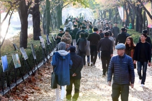 주말엔 석촌호수 단풍 사이로 걸어볼까