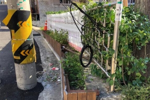 주민 손길 닿은 길, 꽃 피는 도봉 골목길