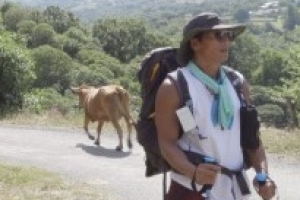 ‘같이 걸을까’ god, 황소 떼 습격에 ‘패닉’...순례길 뜻밖의 장애물