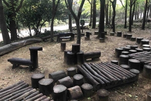 건강·감성 쑥쑥~ 관악 ‘유아숲체험원’에 놀러와