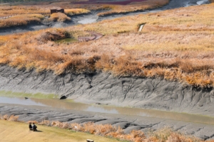 뭍이 그리워 갯골 타고 온, 바다… 섬이 그리워 바다 물들인, 노을
