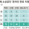 [‘경기 불황 직격탄’ 소상공인·중소기업 2제] 재고 부담 커 ‘온라인 판로 지원’ 외면하는 소상공인