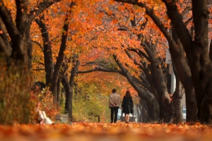 가을아 조금만 더 머물다 가렴