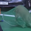 서울 주택가 멧돼지 떼로 출몰…심야 추격전 끝 3마리 사살