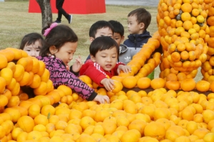 제주산 귤 선물, 북 청소년·평양 근로자에 전달