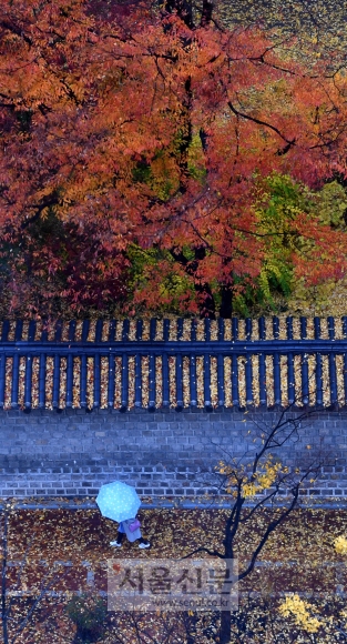 겨울을 재촉하는 가을비가 내린 8일 낙엽이 내려앉은 서울 덕수궁 돌담길을 시민들이 우산을 쓴채 걷고 있다. 2018.11.8. 박지환 기자 popocar@seoul.co.kr