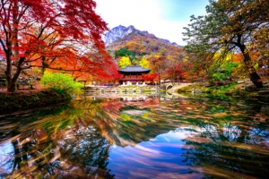 올해 첫 단풍은 설악산에서 9월 28일에 시작