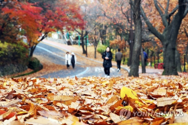 9일 오후 경기도 수원시 팔달산을 찾은 시민들이 낙엽 쌓인 길을 걷고 있다. 수원=연합 2018.11.9 xanadu@yna.co.kr