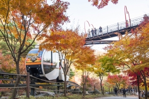 곤지암리조트, 늦가을 화담숲 객실 패키지 출시