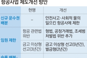 항공사 임원 갑질·관세포탈 때 새 운수권 최대 2년 못 받는다